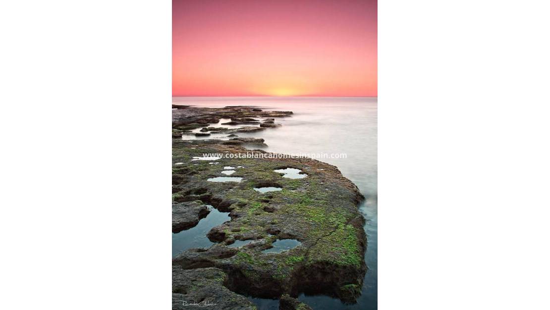 Nýbygging - Bungalow - Torrevieja - Altos del Sol