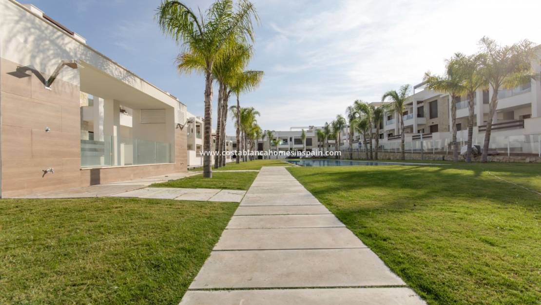 Nýbygging - Bungalow - Torrevieja - Los Balcones
