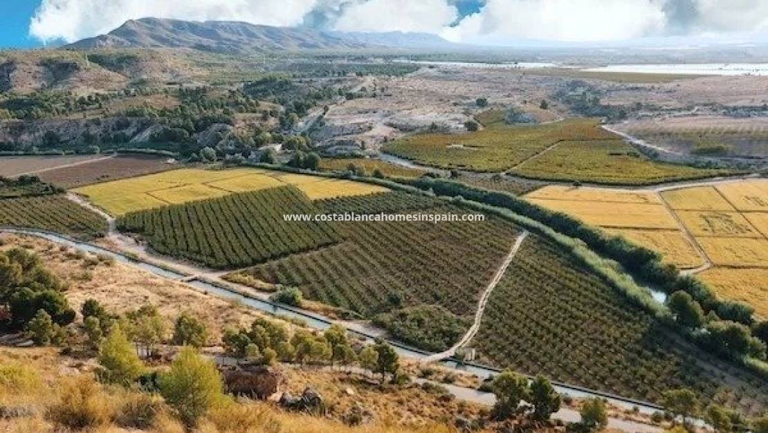 Nýbygging -  - Calasparra - Coto riñales