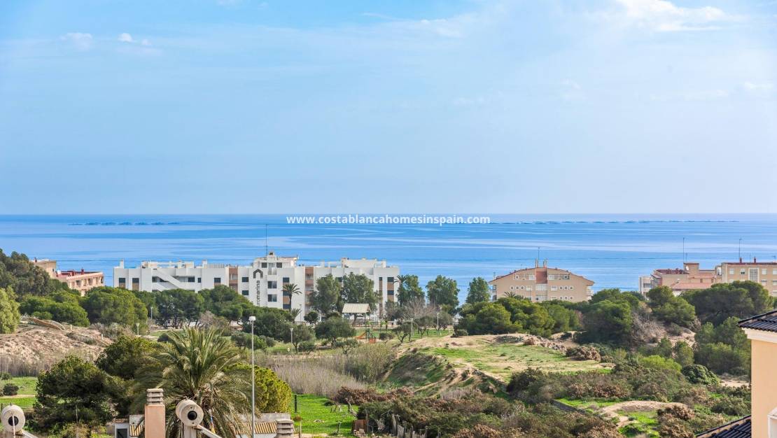 Nýbygging -  - Guardamar del Segura - Els secans