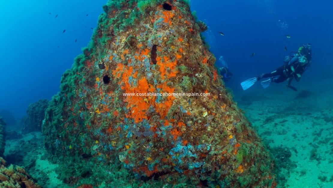 Nýbygging - Other - Águilas - Isla del fraile