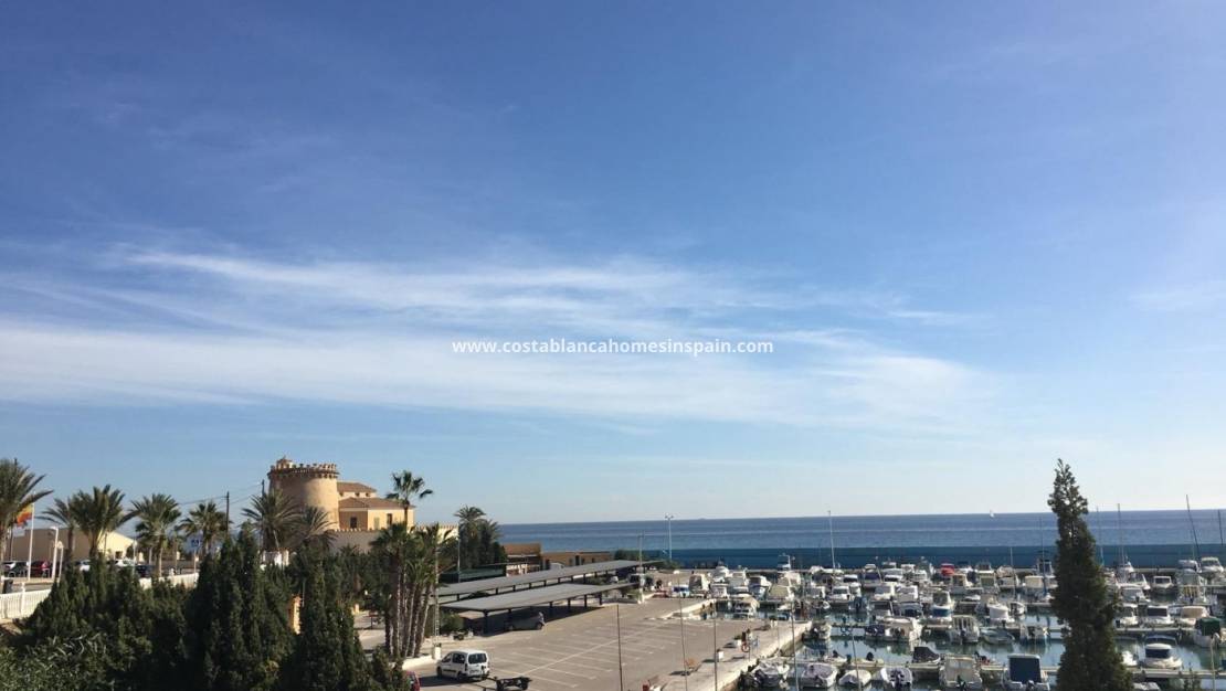 Nýbygging -  - Pilar de la Horadada - Las Higuericas