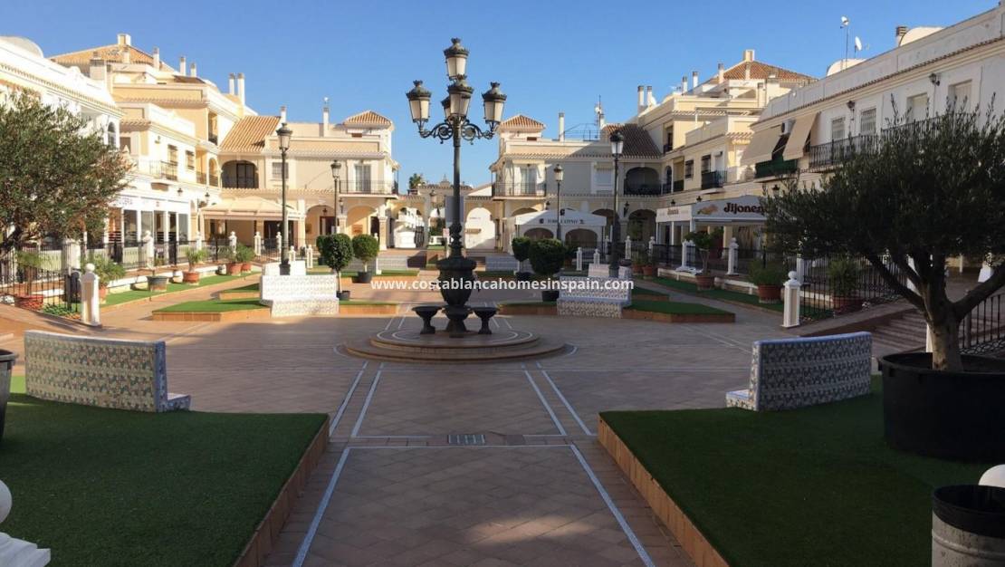 Nýbygging -  - Pilar de la Horadada - pueblo