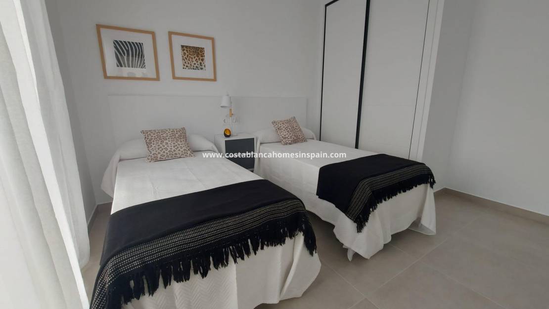 Nýbygging -  - Torre Pacheco - Roldán