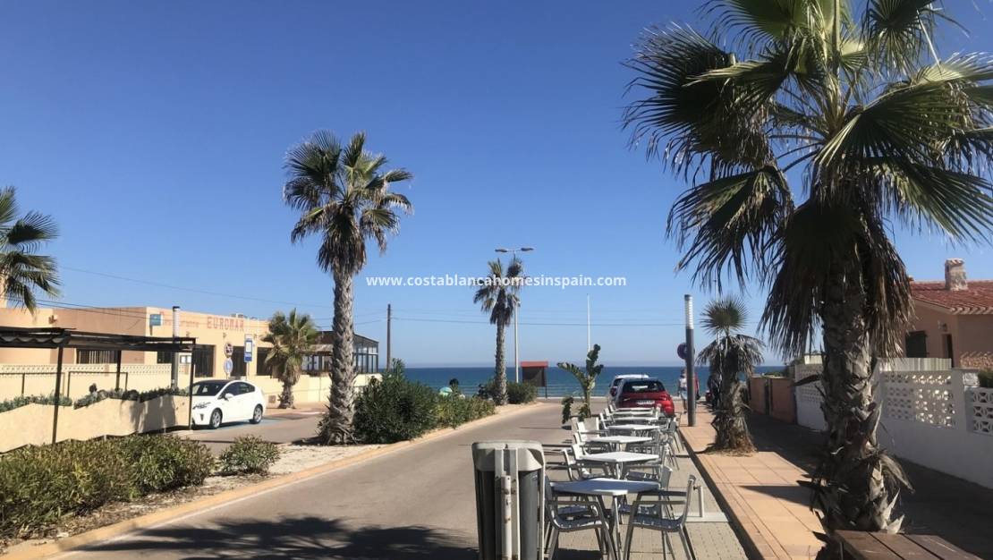 Nýbygging -  - Torrevieja - La Mata