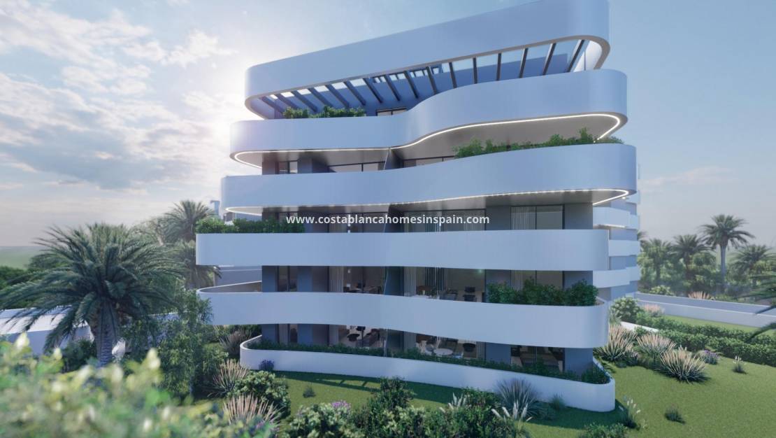 Nýbygging - Townhouse - Guardamar del Segura - El Raso