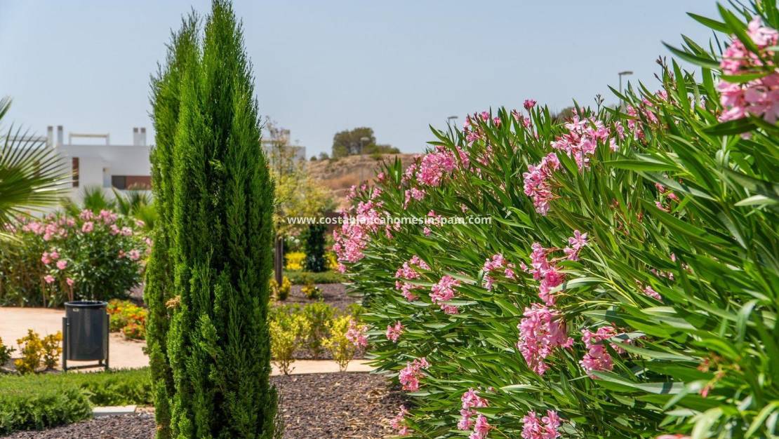 Nýbygging - Townhouse - Orihuela - Vistabella Golf