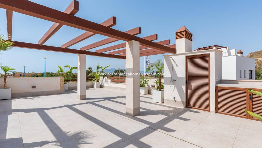 Nýbygging -  - Vera - Vera playa