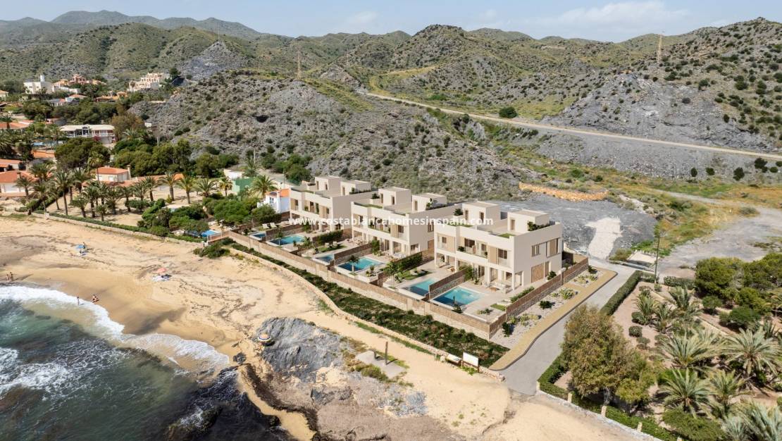 Nýbygging - villa - Cuevas del Almanzora - Cala Panizo