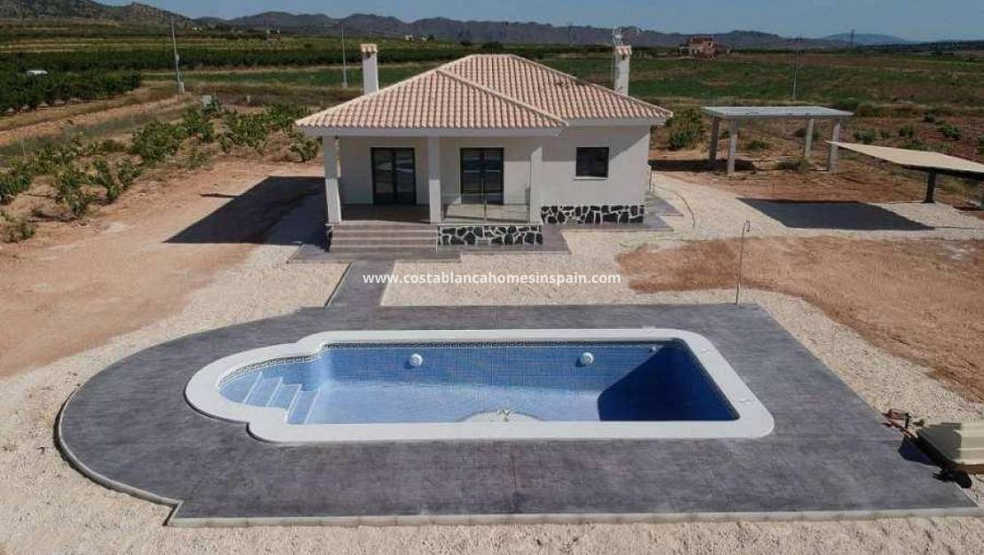 Nýbygging - Villa - Pinoso - Camino Del Prado