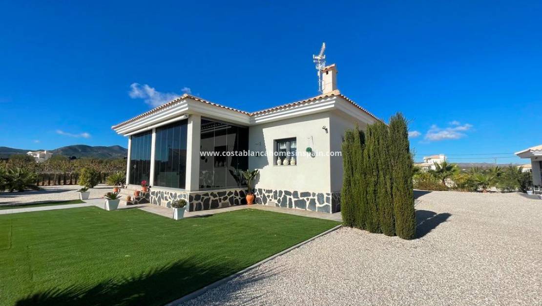 Nýbygging - Villa - Pinoso - Camino Del Prado