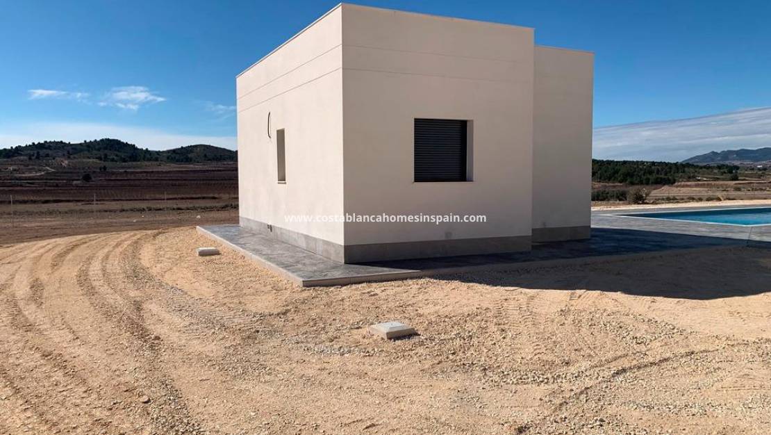 Nýbygging - Villa - Pinoso - Camino Del Prado