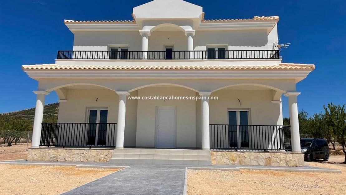 Nýbygging - Villa - Pinoso - Camino Del Prado