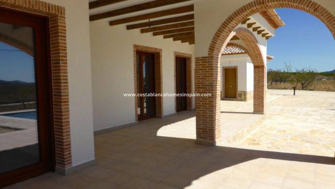 Nýbygging - Villa - Pinoso - CENTRO