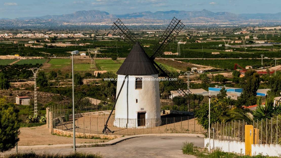 Nýbygging - Villa - Rojales - Ciudad Quesada