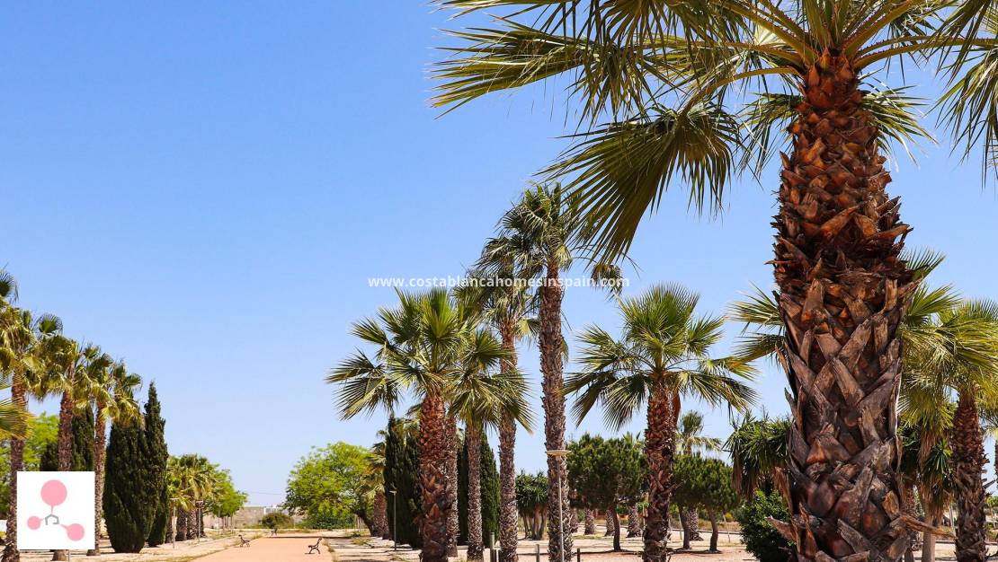 Nýbygging - villa - San Fulgencio - La Escuera