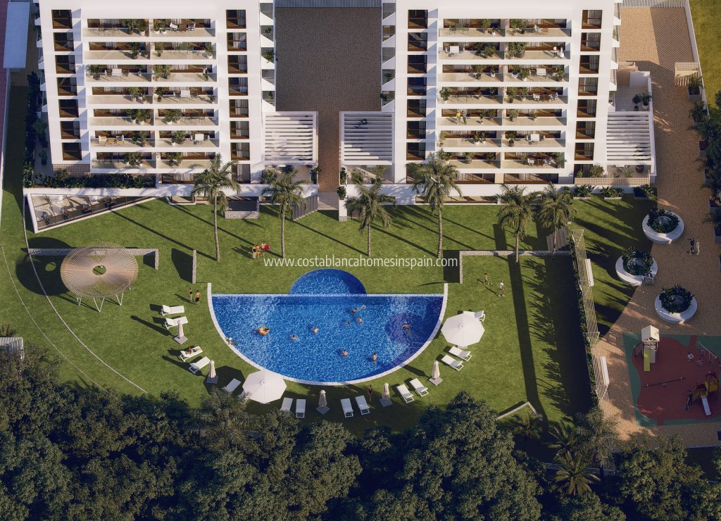 Obra Nueva - Apartment - Guardamar del Segura