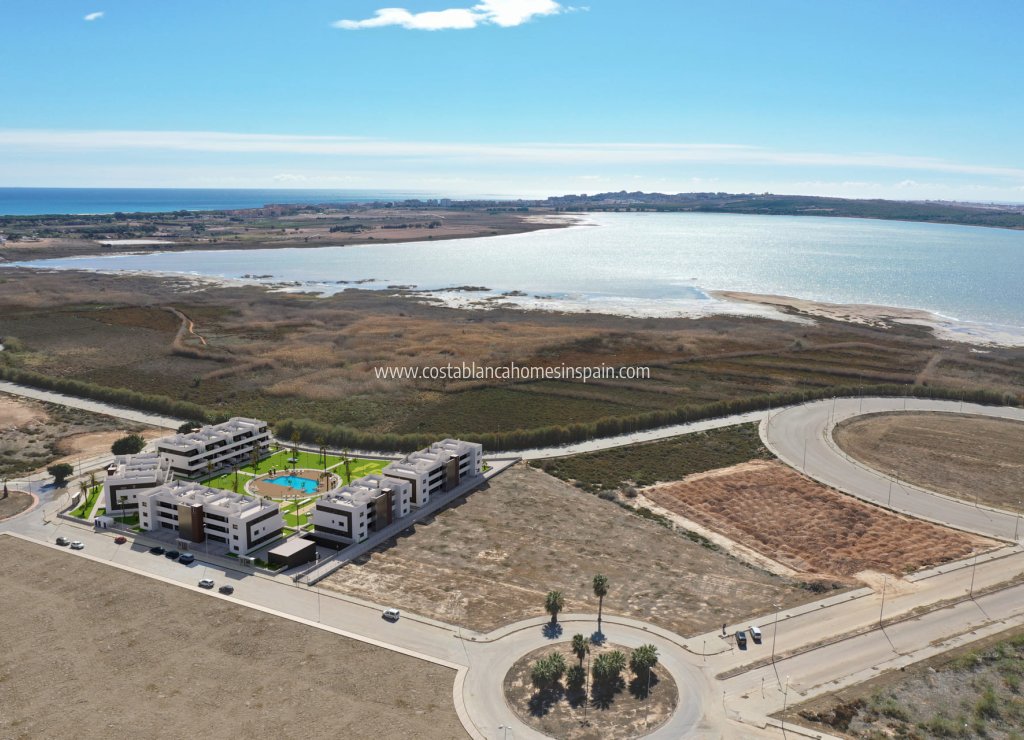 Obra Nueva - Apartment - Guardamar del Segura