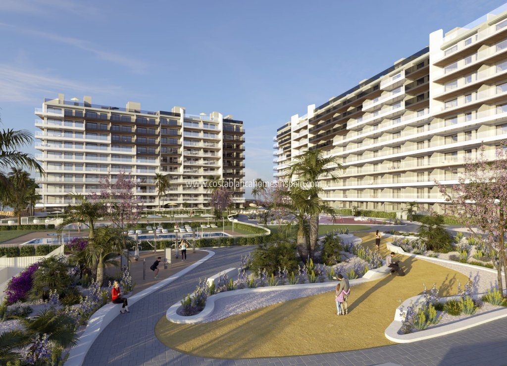 Obra Nueva - Apartment - Punta Prima