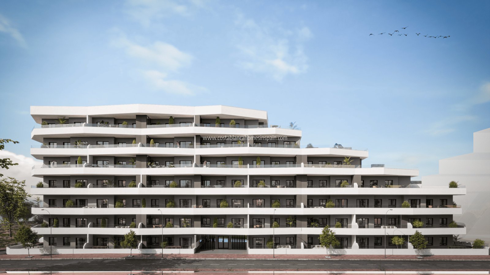 Obra Nueva - Apartment - San Miguel de Salinas