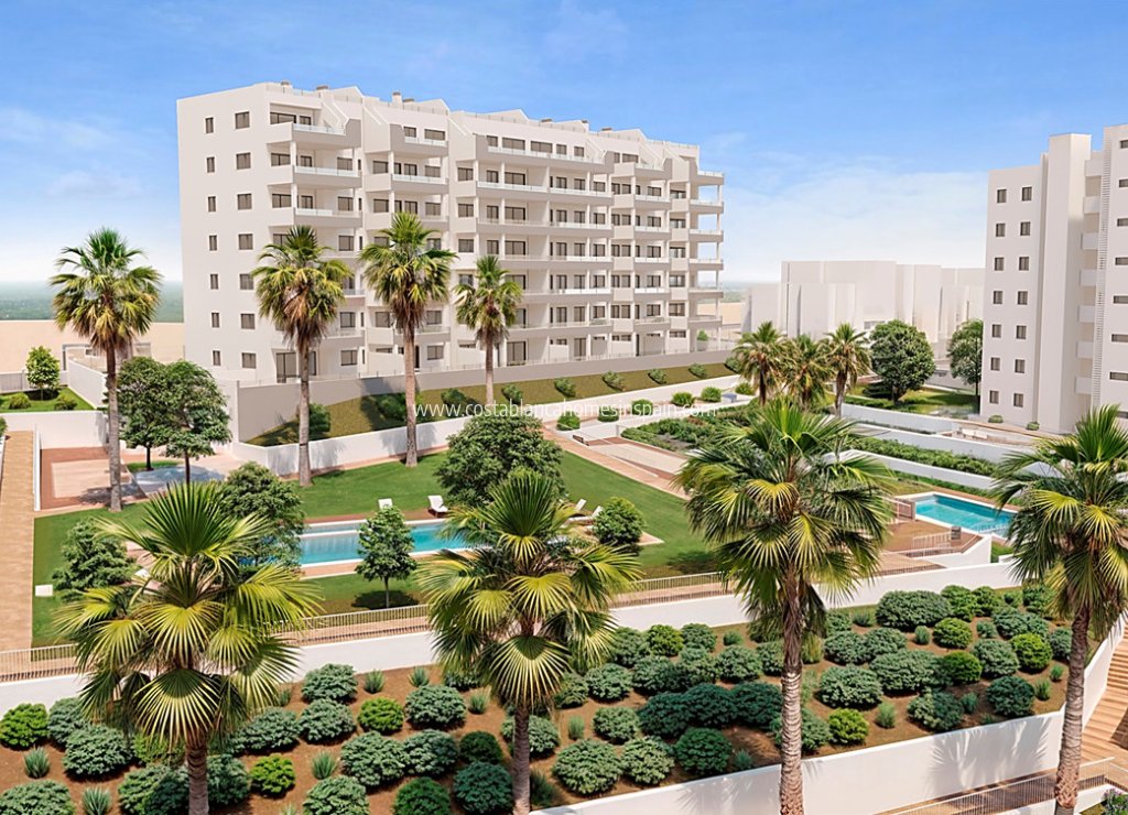 Obra Nueva - Apartment - San Miguel de Salinas