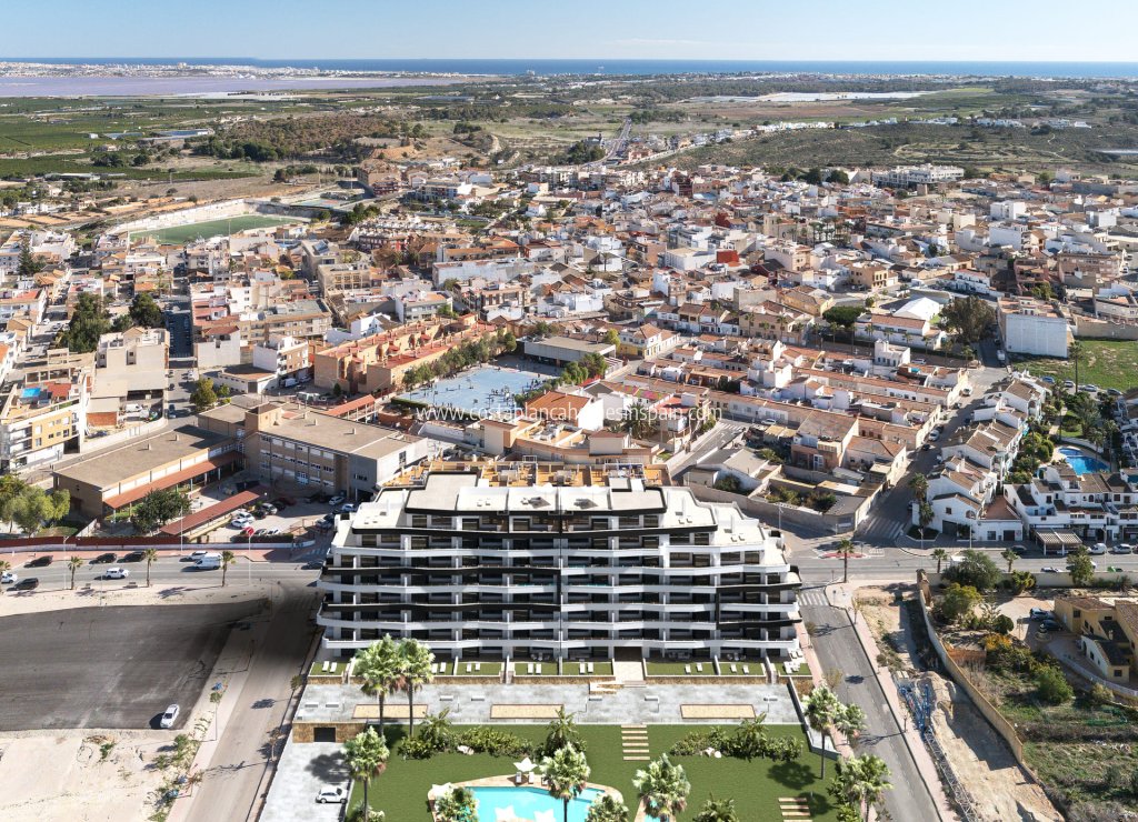 Obra Nueva - Apartment - San Miguel de Salinas