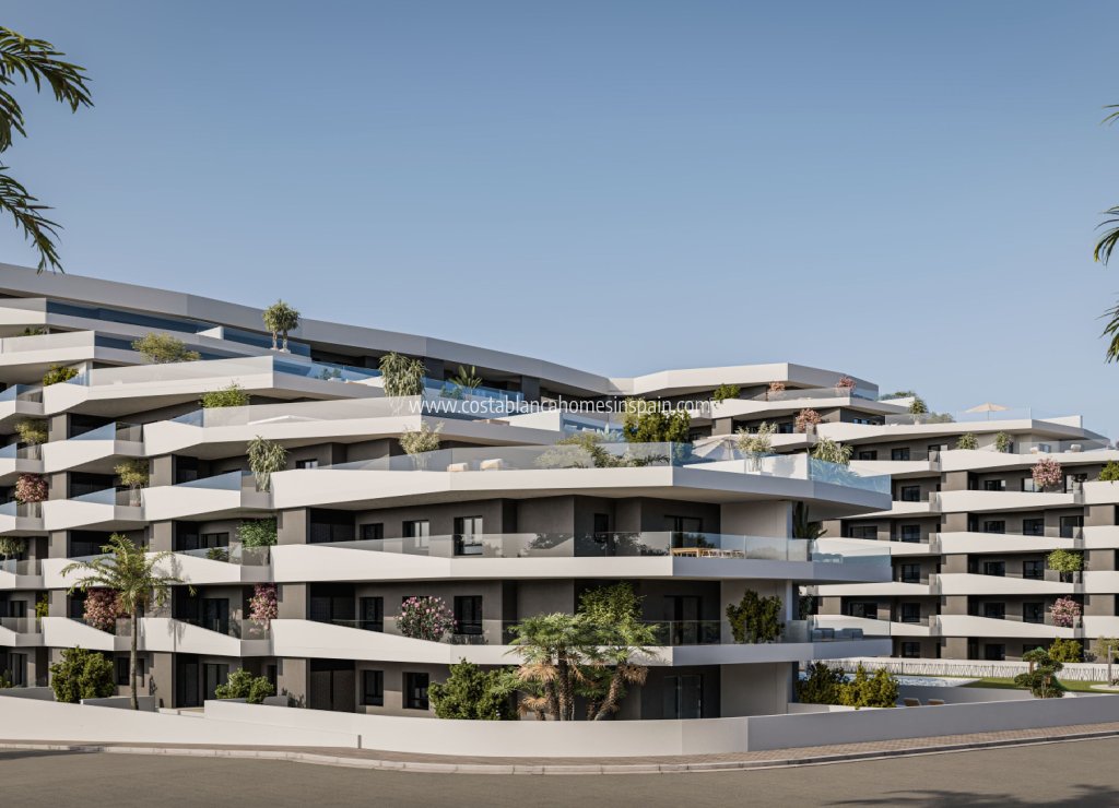 Obra Nueva - Apartment - San Miguel de Salinas