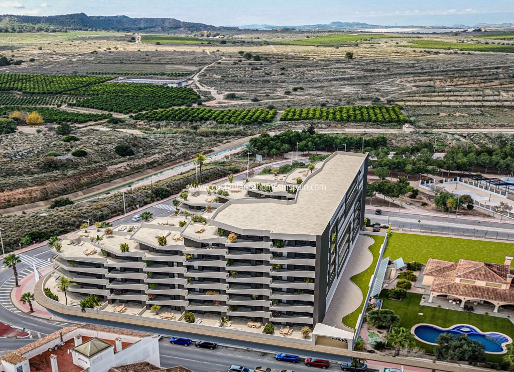 Obra Nueva - Apartment - San Miguel de Salinas