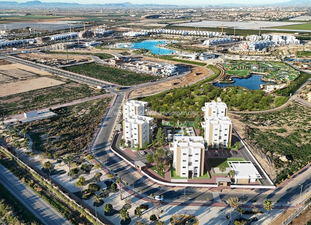 Obra Nueva - Apartment - Santa Rosalia