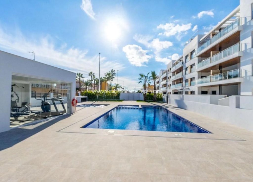 Obra Nueva - Apartment - Torrevieja