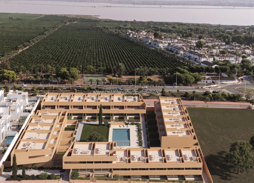 Obra Nueva - Apartment - Torrevieja