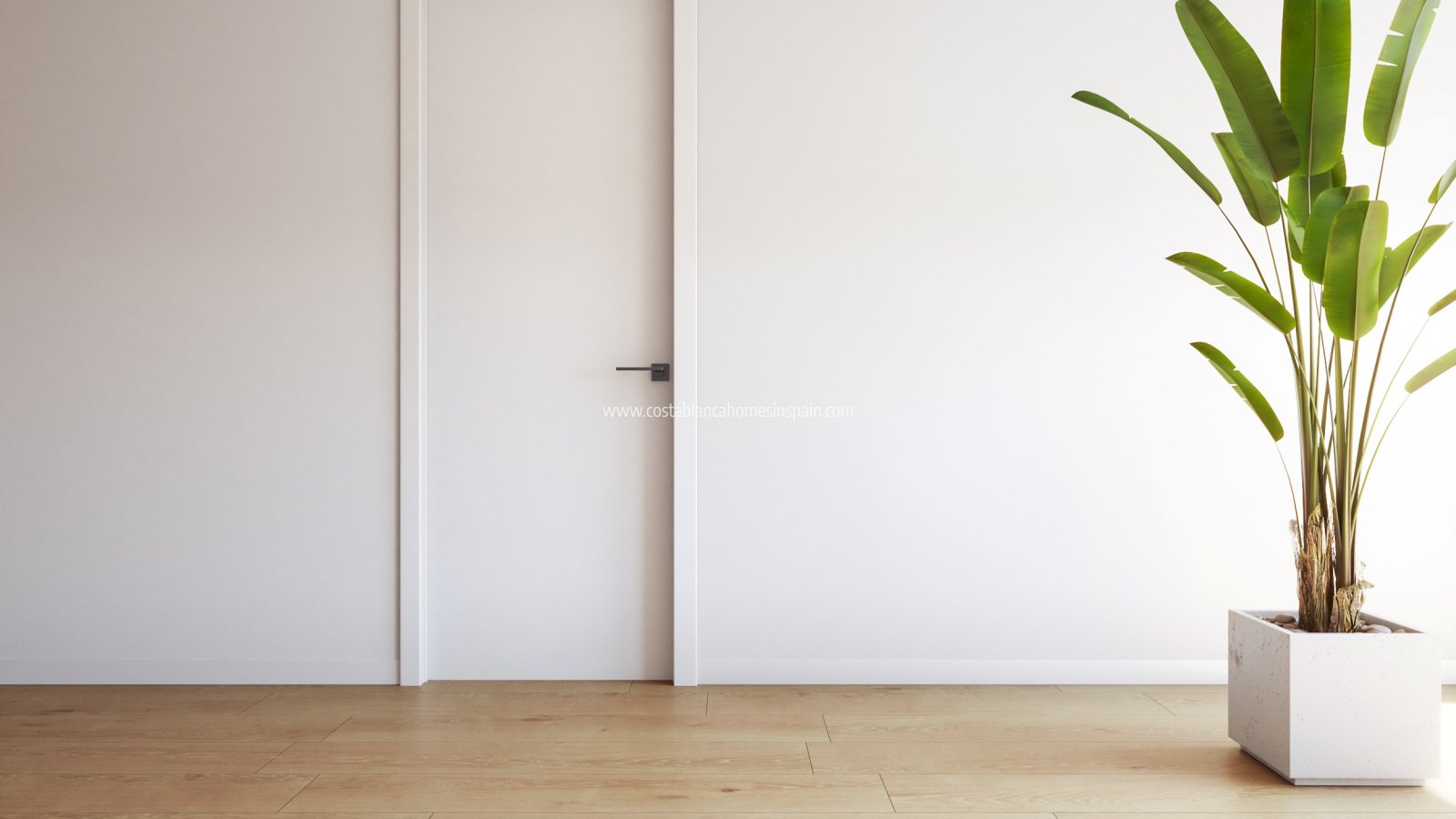 Obra Nueva - Apartment - Torrevieja