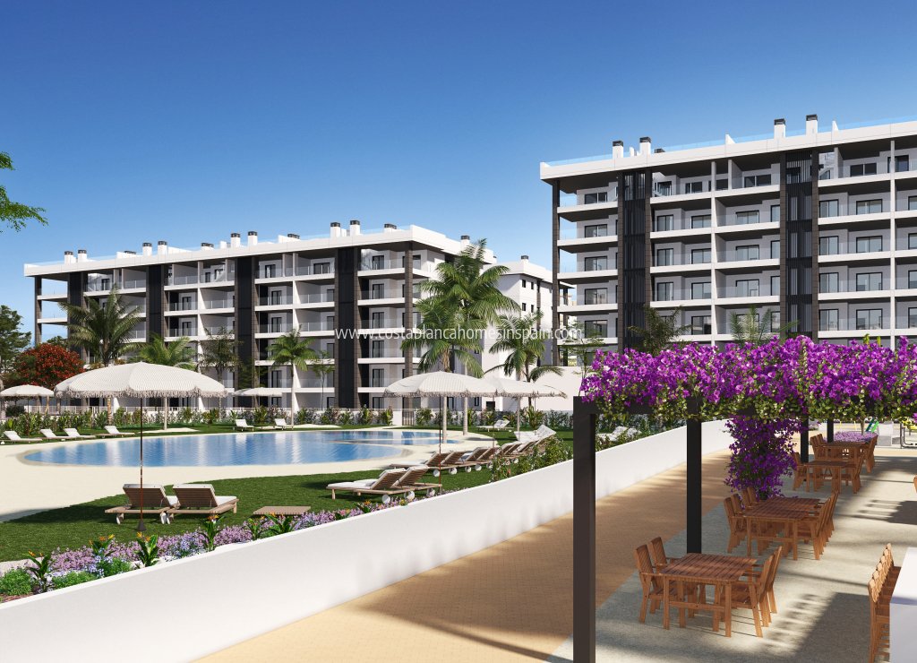 Obra Nueva - Apartment - Torrevieja