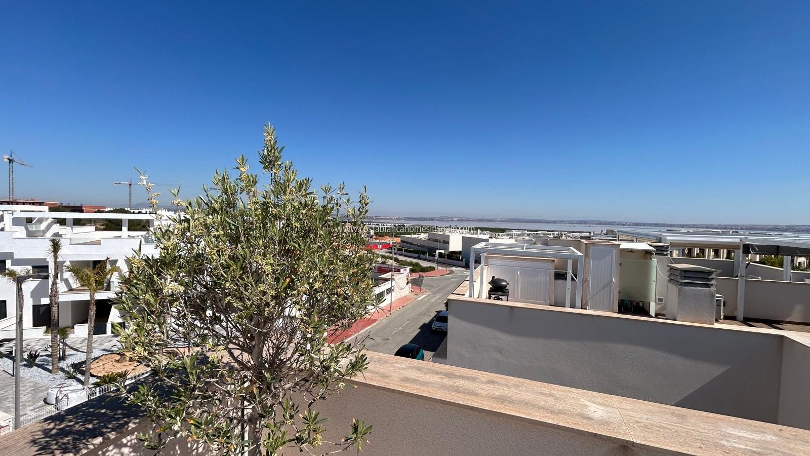 Obra Nueva - Apartment - Torrevieja