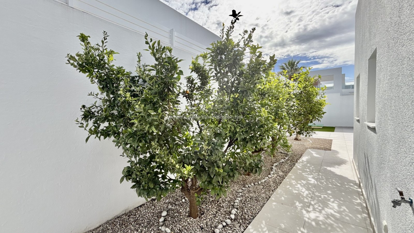 Obra Nueva - Detached Villa - Benijófar - Binijófar