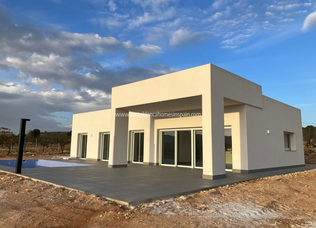 Obra Nueva - Detached Villa - Pinoso