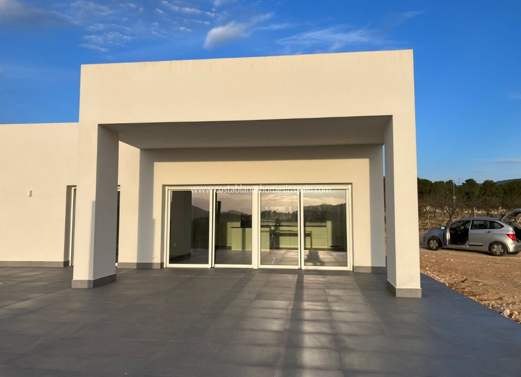 Obra Nueva - Detached Villa - Pinoso