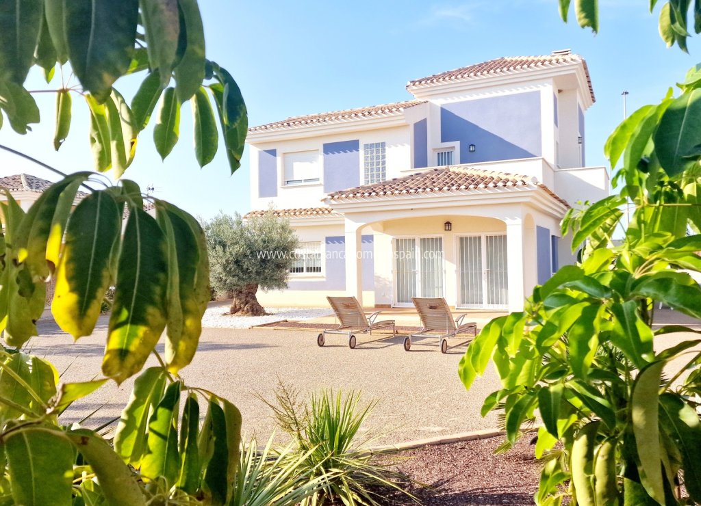 Obra Nueva - Detached Villa - Purias