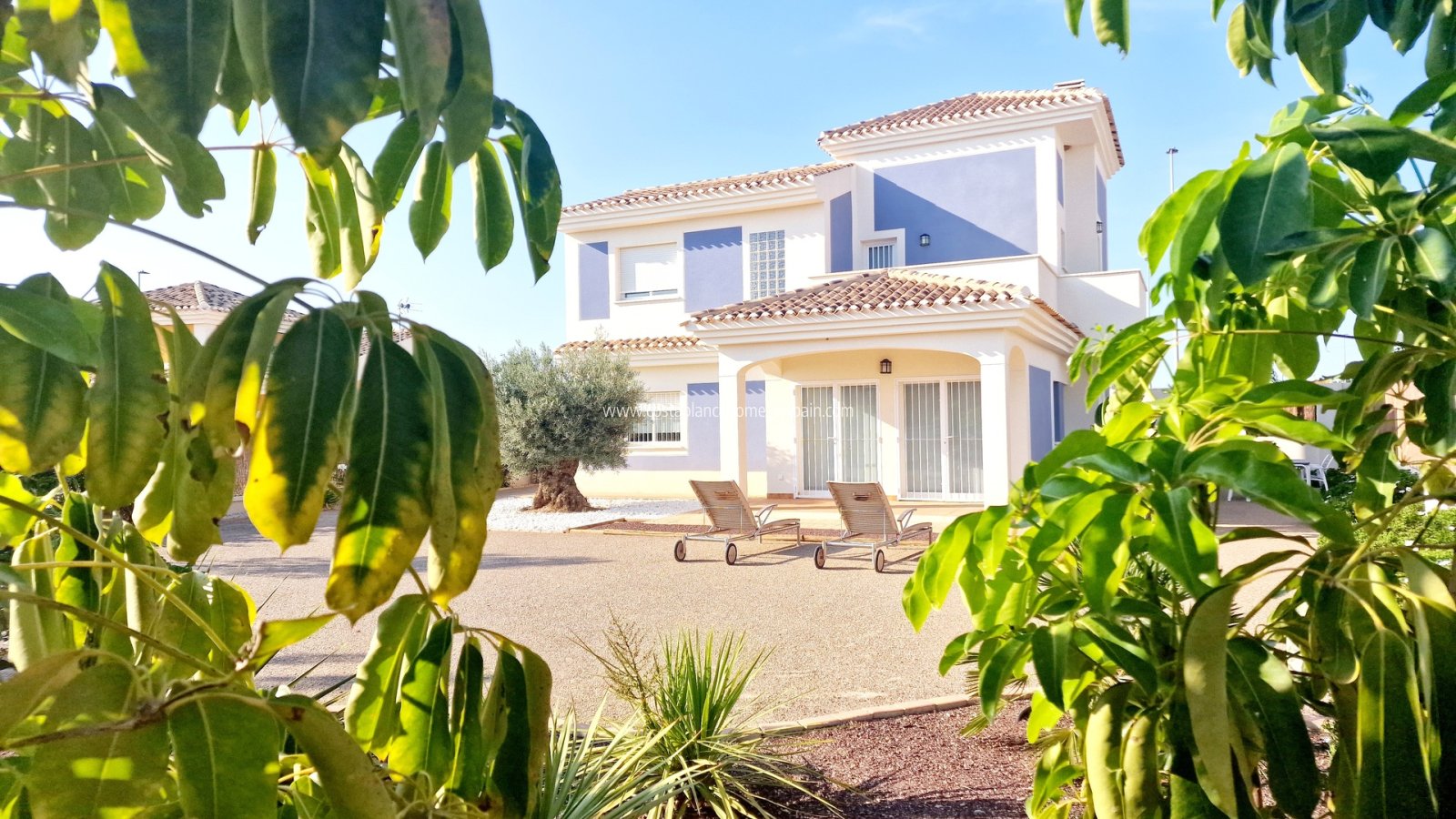 Obra Nueva - Detached Villa - Purias