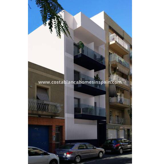 Other - New Build - Elche - Centro