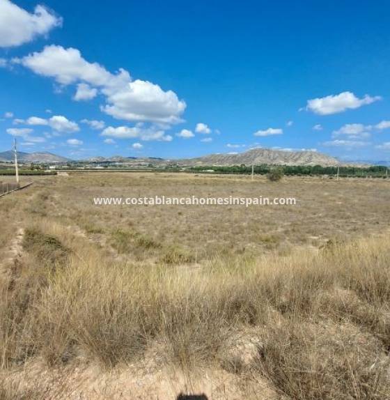 Plot - Re-salg - Hondon de las Nieves - Hondon de las Nieves