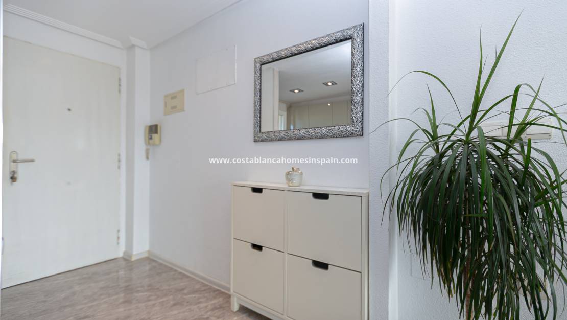 Re-salg - Apartment - La Zenia - Beachside