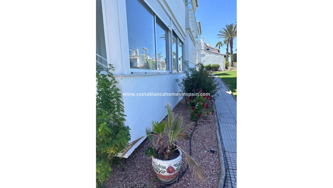 Re-salg - Apartment - Los Dolces - Villamartin