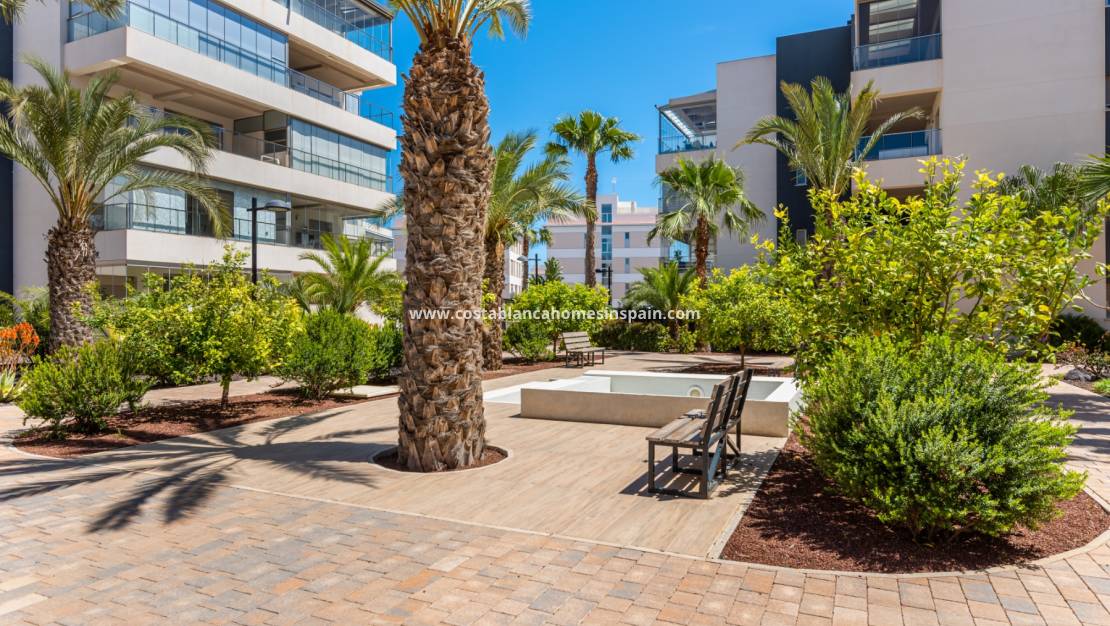 Re-salg - Apartment - Orihuela Costa - Los Dolses