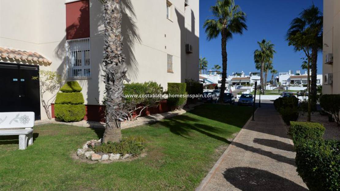 Re-salg - Apartment - Orihuela Costa - Playa Flamenca
