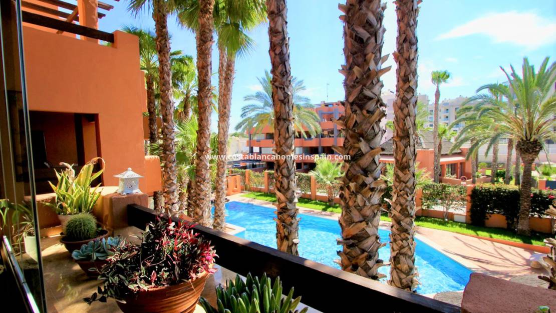 Re-salg - Apartment - Orihuela Costa - Villamartin Golf