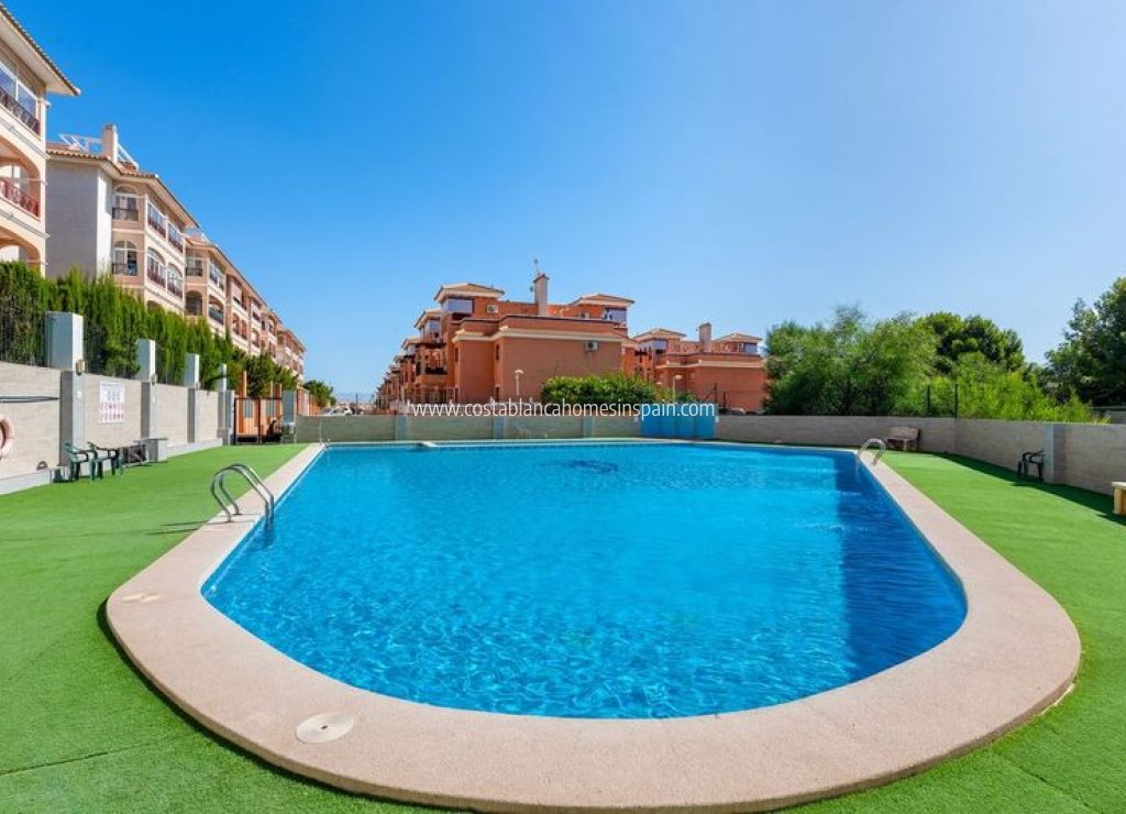 Re-salg - Apartment - Playa Flamenca - Costa Blanca South