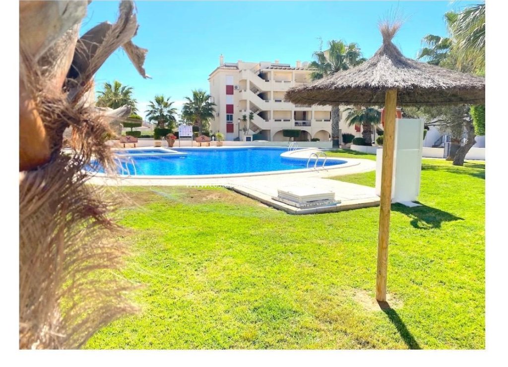 Re-salg - Apartment - Playa Flamenca - Orihuela Costa