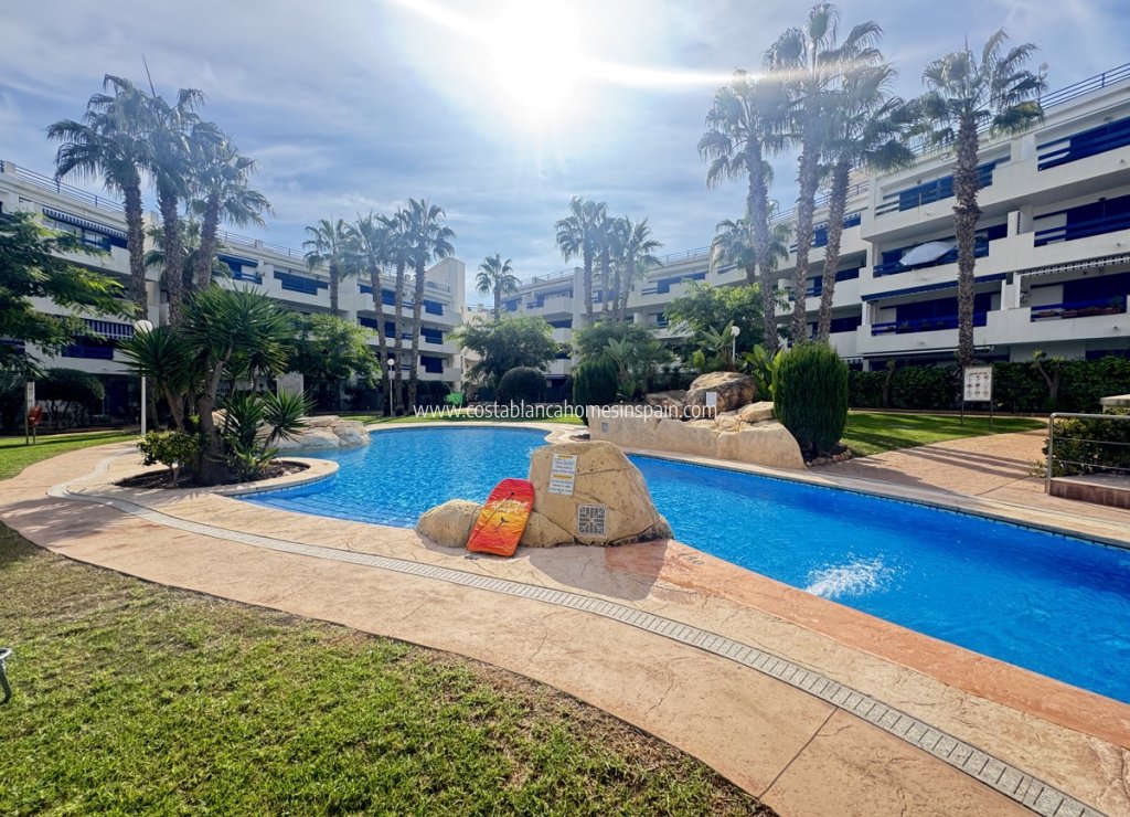 Re-salg - Apartment - Playa Flamenca - Orihuela Costa