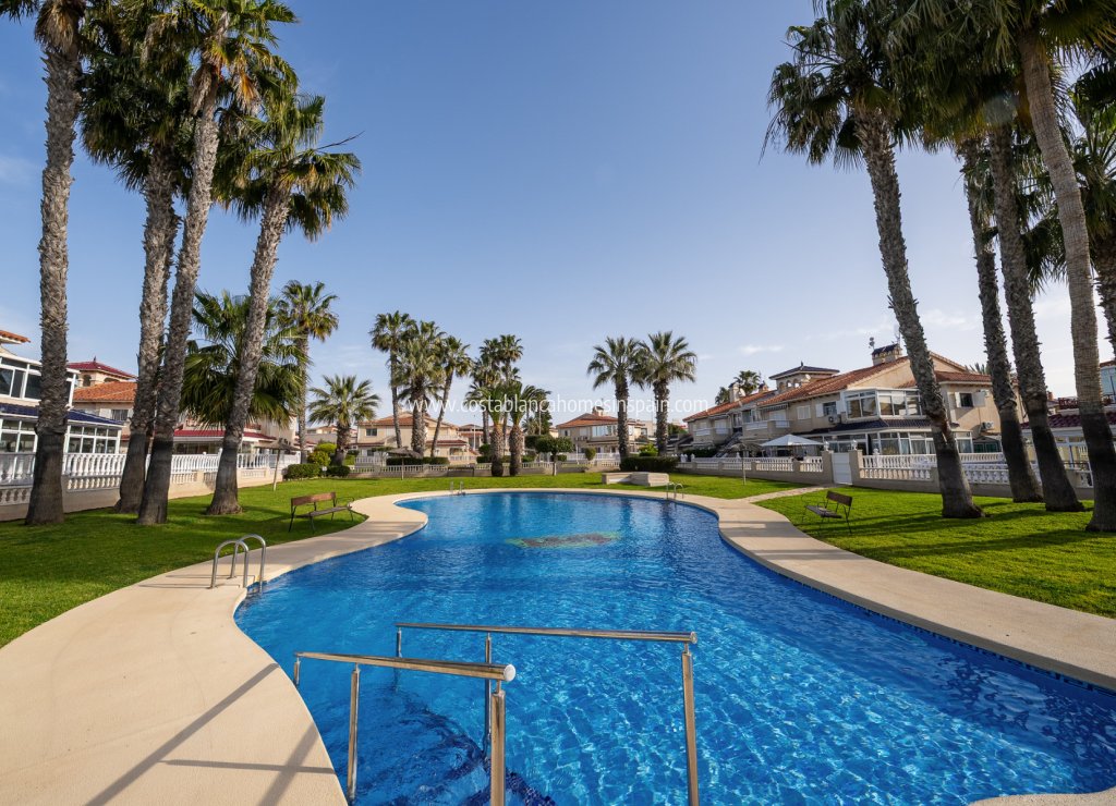 Re-salg - Apartment - Playa Flamenca - Zenia Mar